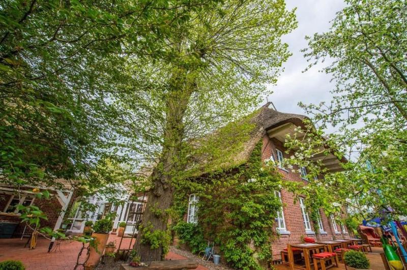 Gut Schöneworth image