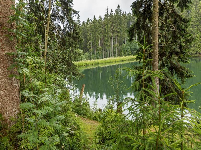 Haus am Hochwald image