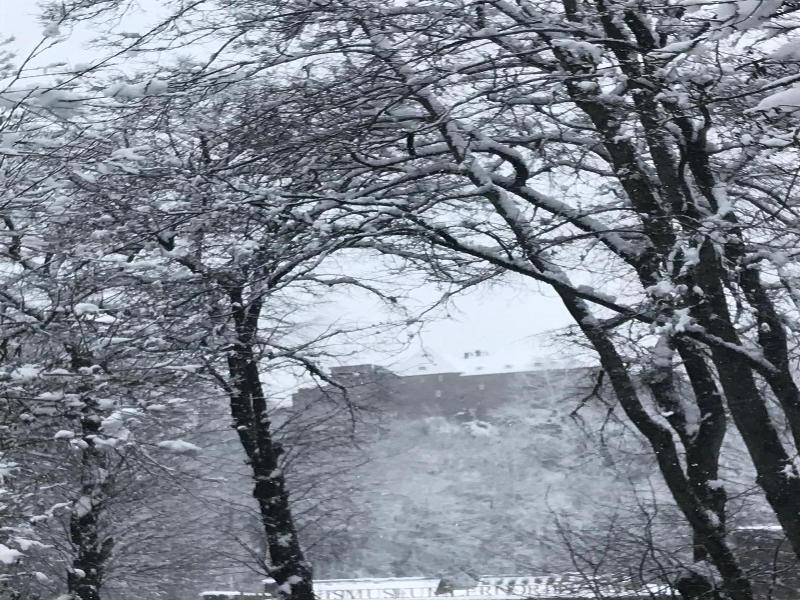 Alt-Montjoie image