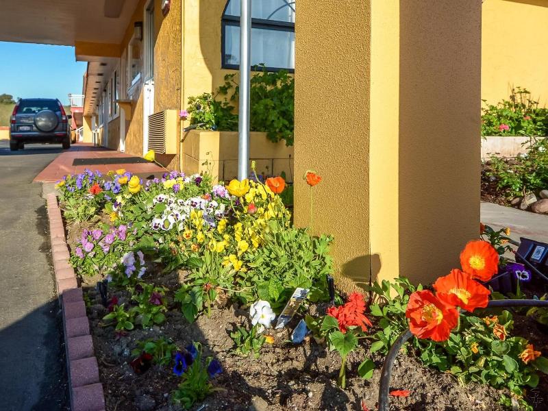 Hollister Inn image