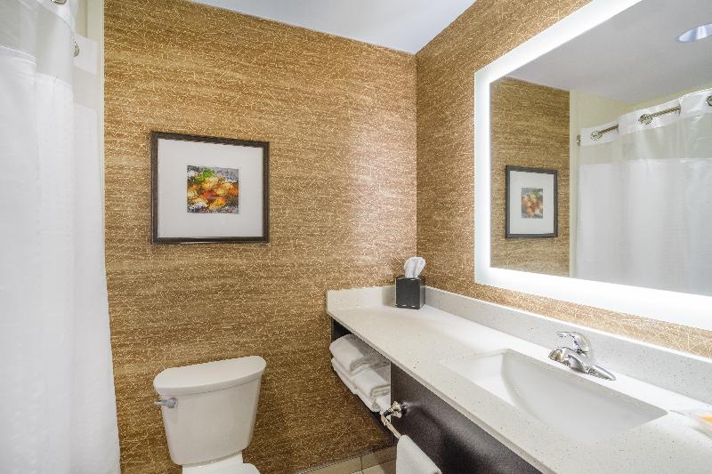 Holiday Inn Terre Haute photo 22