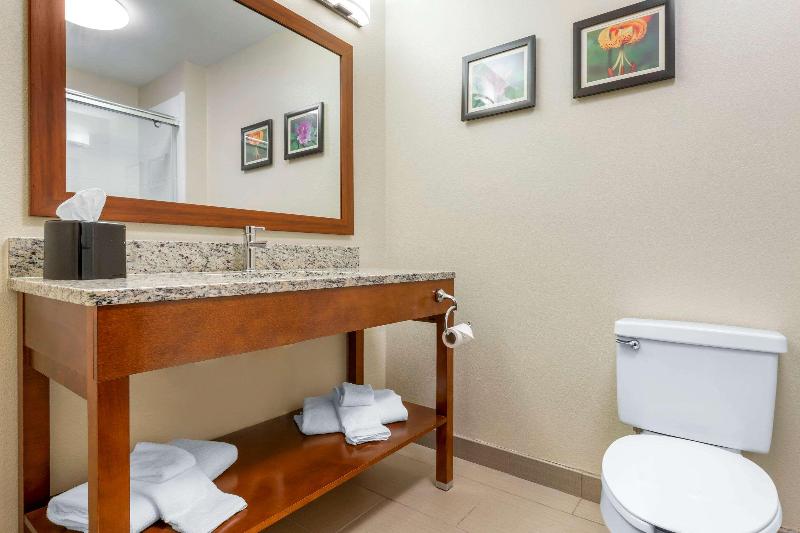 Comfort Inn & Suites Lenoir Hwy 321 image