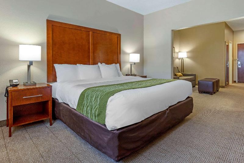 Comfort Inn & Suites Lenoir Hwy 321 image