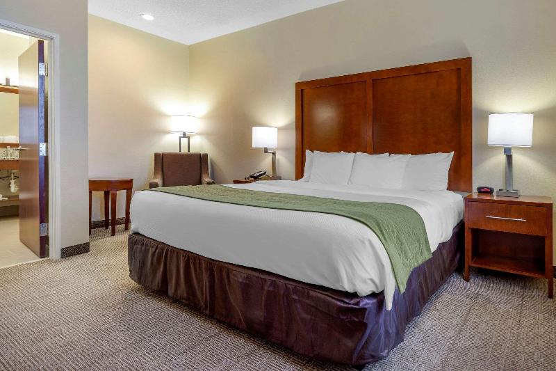 Comfort Inn & Suites Lenoir Hwy 321 image