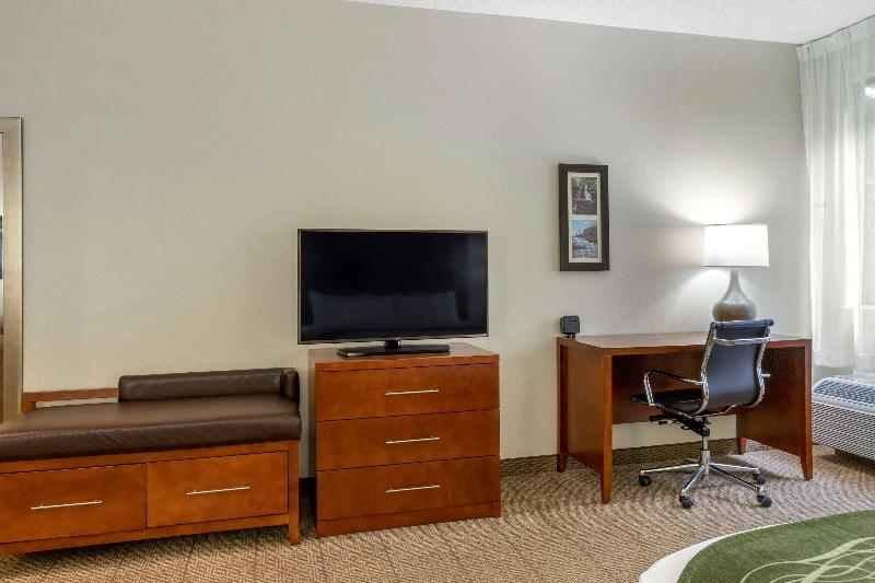 Comfort Inn & Suites Lenoir Hwy 321 image