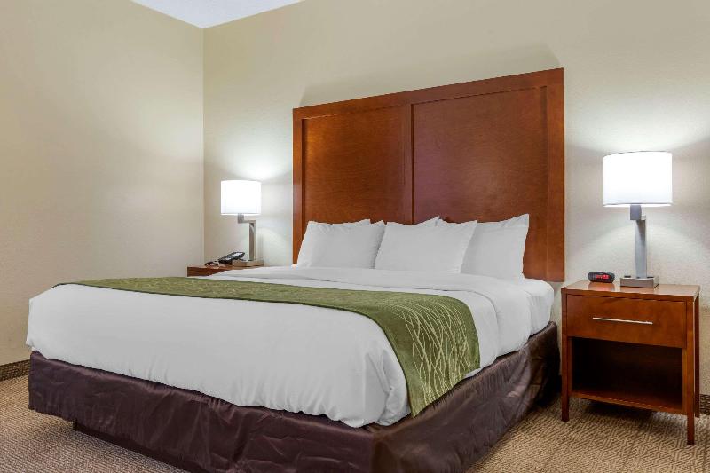 Comfort Inn & Suites Lenoir Hwy 321 image