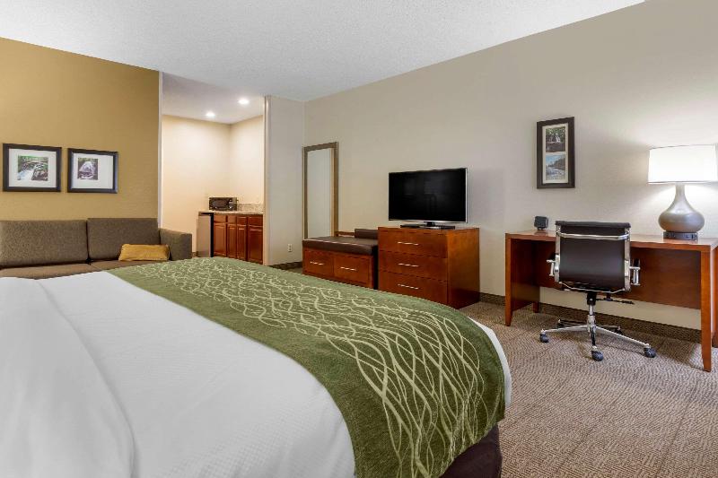 Comfort Inn & Suites Lenoir Hwy 321 image