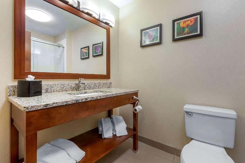 Comfort Inn & Suites Lenoir Hwy 321 image