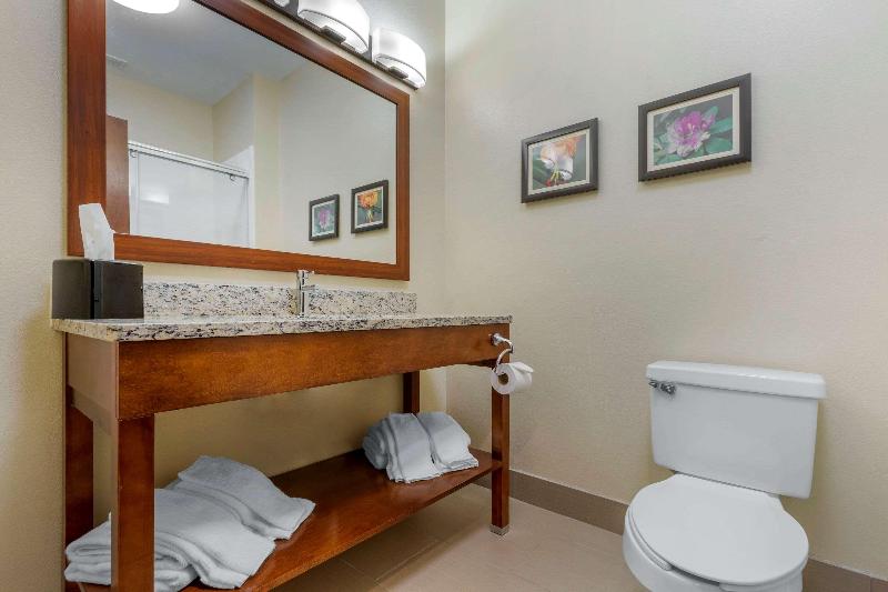 Comfort Inn & Suites Lenoir Hwy 321 image