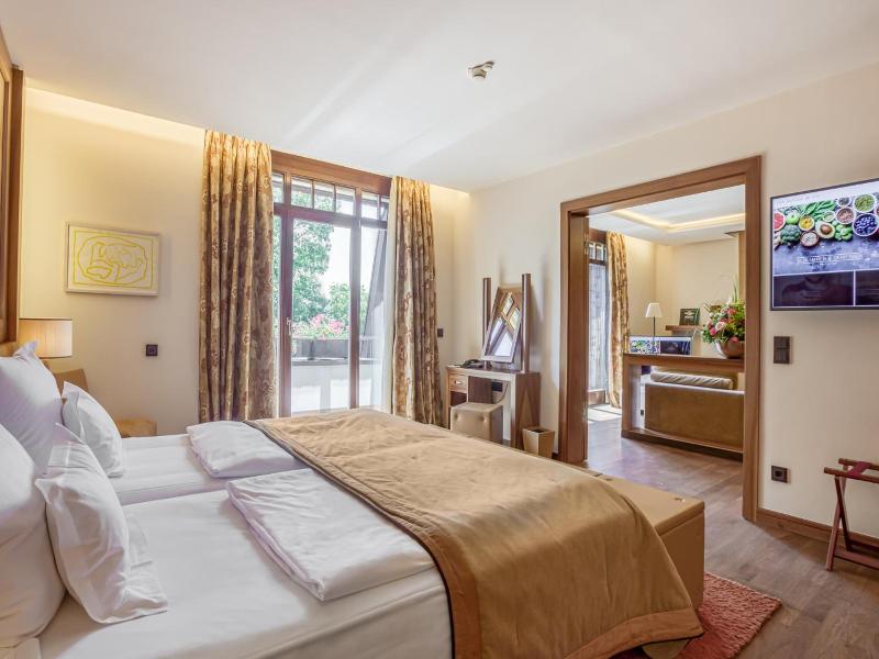 Wald & Schlosshotel Friedrichsruhe image