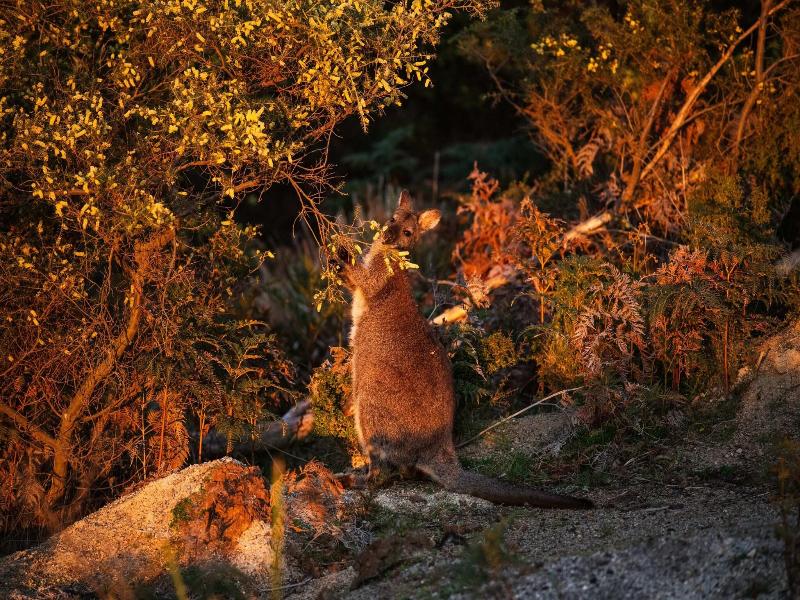 Freycinet Eco Retreat