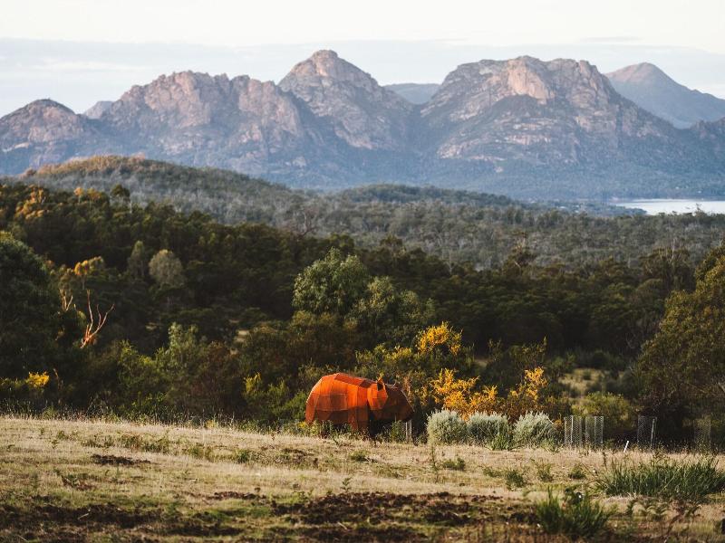 Freycinet Eco Retreat