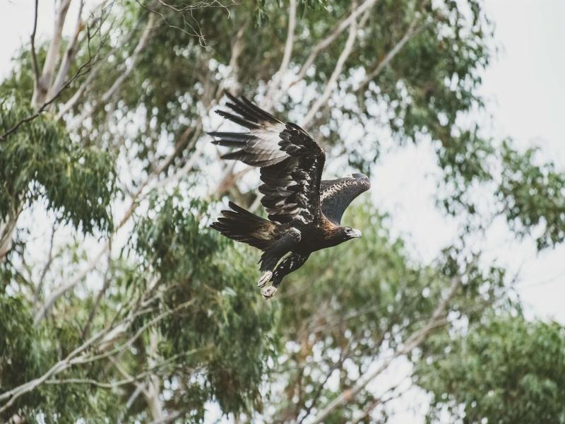 Freycinet Eco Retreat