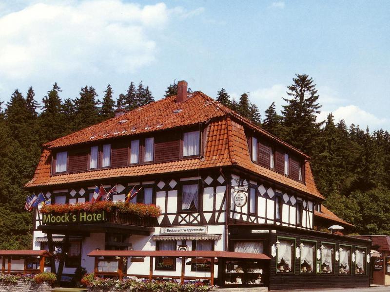Moocks — general view