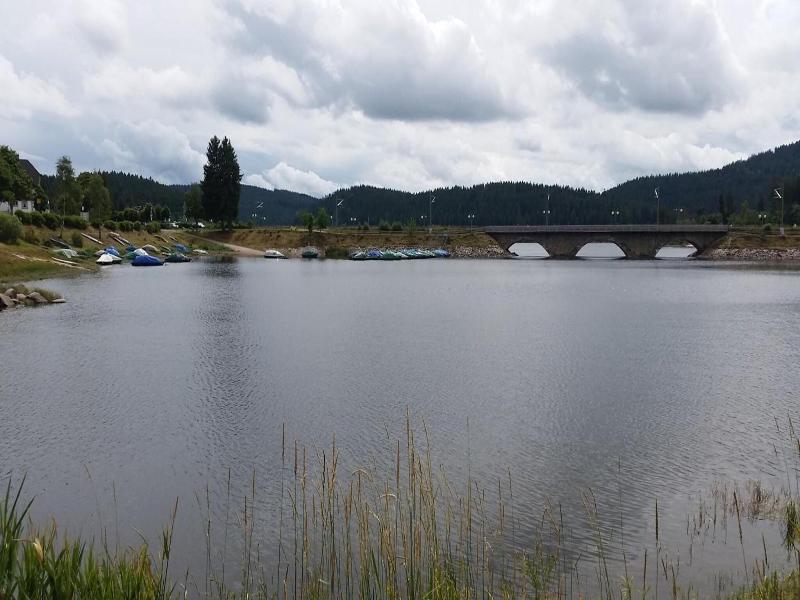 Pension am See image