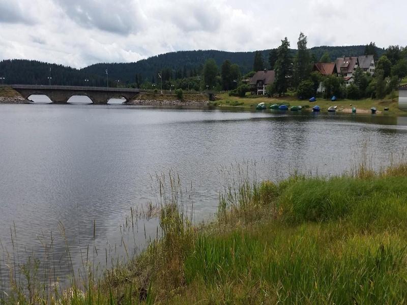 Pension am See image