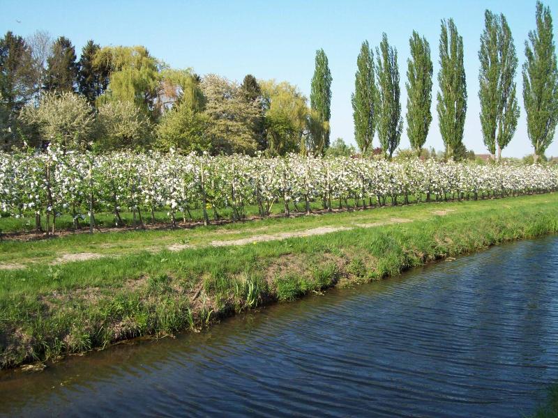 Bundts Gartenrestaurant image