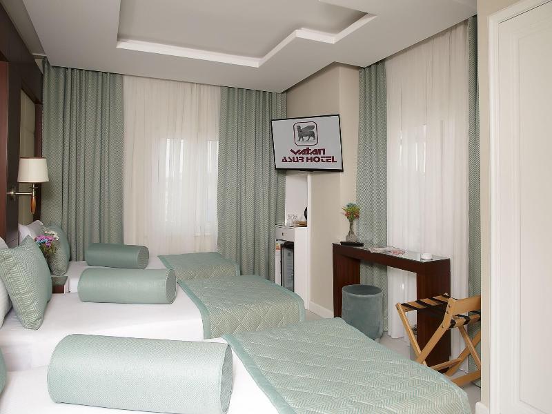 Vatan Asur image