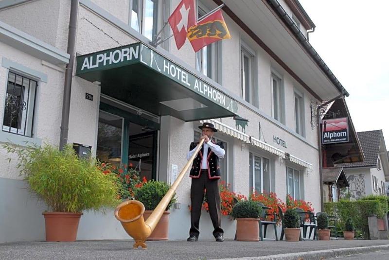 Alphorn image