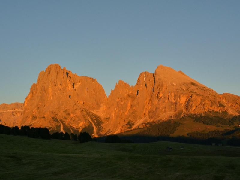 Grones image