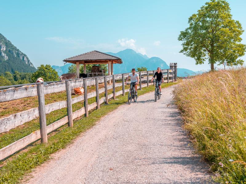 SOLEA DOLOMITI Boutique Hotel image