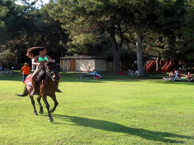 Denizati Holiday Village image