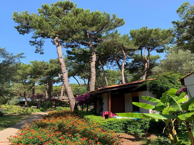Denizati Holiday Village image