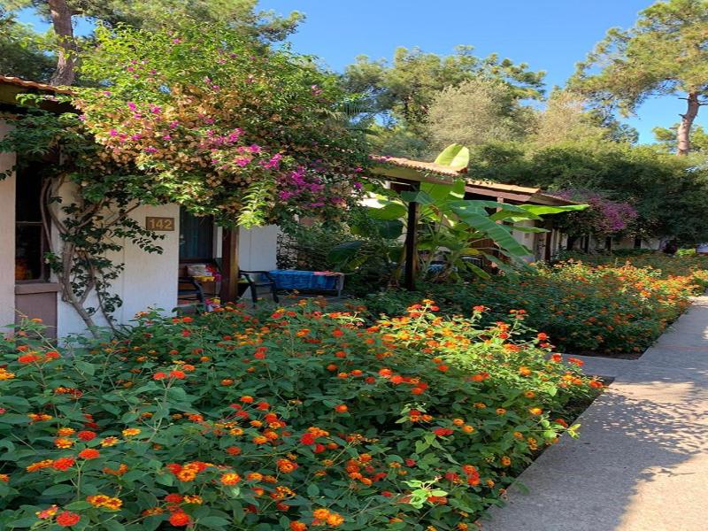Denizati Holiday Village image