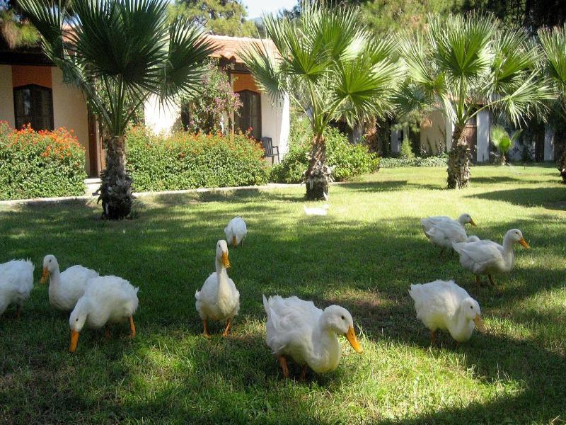 Denizati Holiday Village image