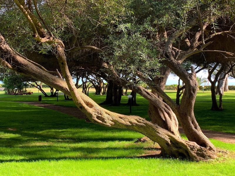 Denizati Holiday Village image