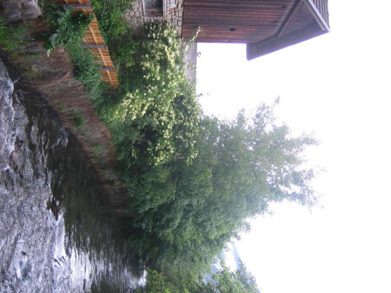 Pension Schmalzlhof Rasen image