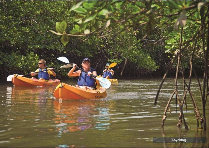 The Barefoot At Havelock