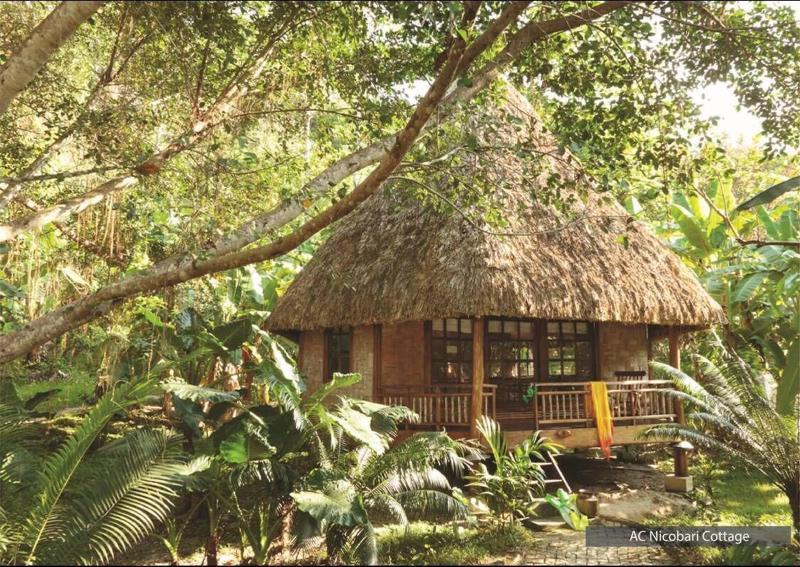 The Barefoot At Havelock — general view