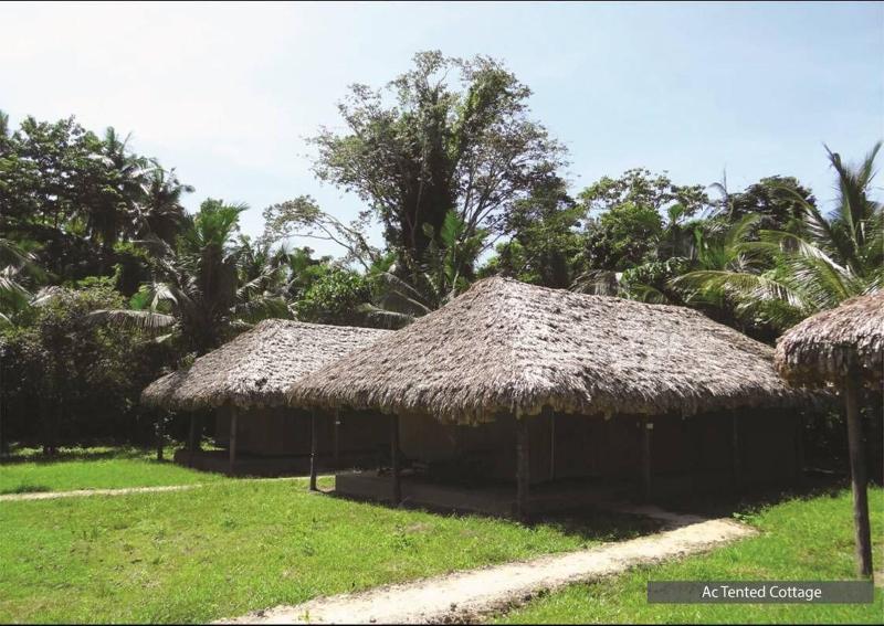 The Barefoot At Havelock — general view