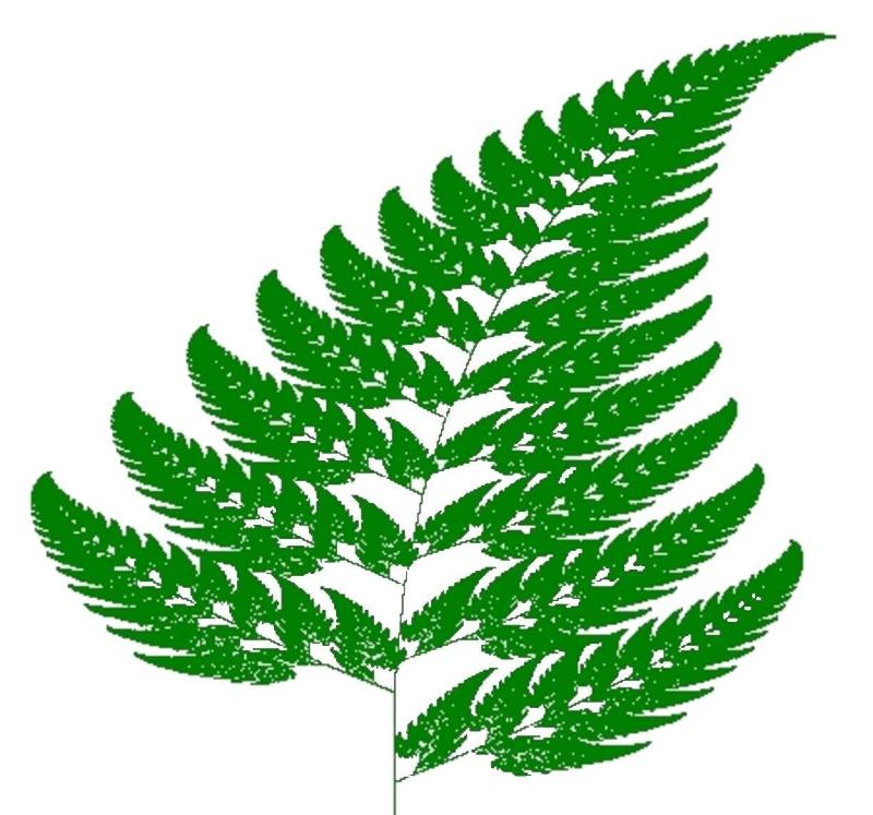 The Fernside
