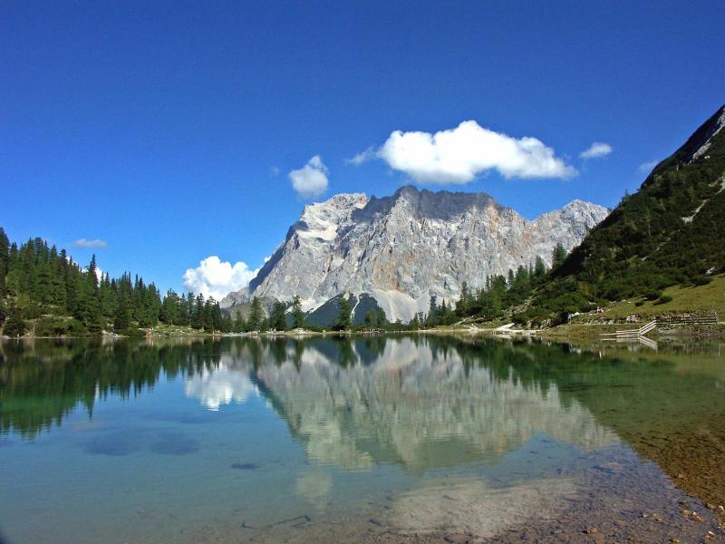 Pechtl image