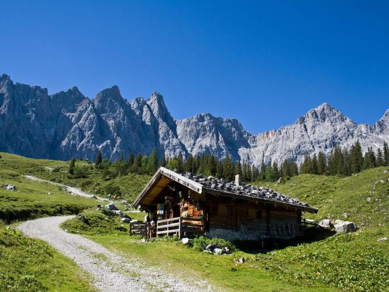 Pechtl image