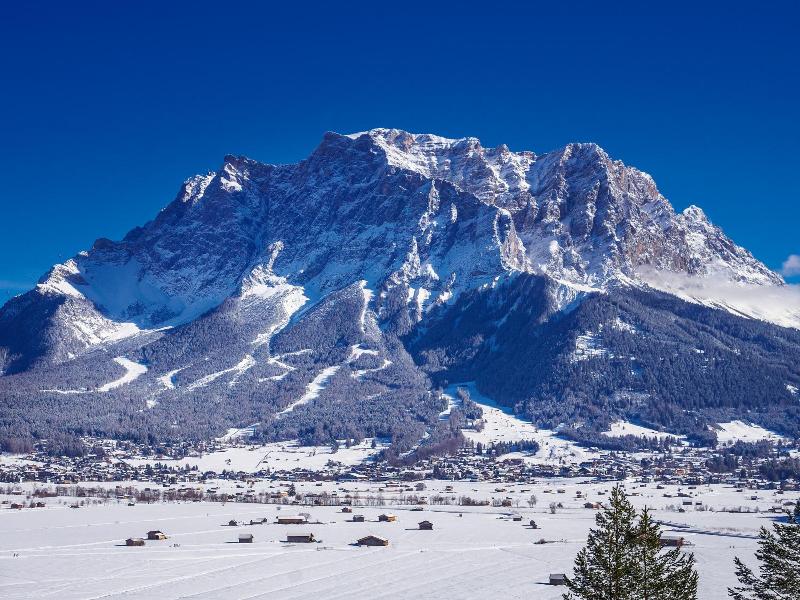 Pechtl image