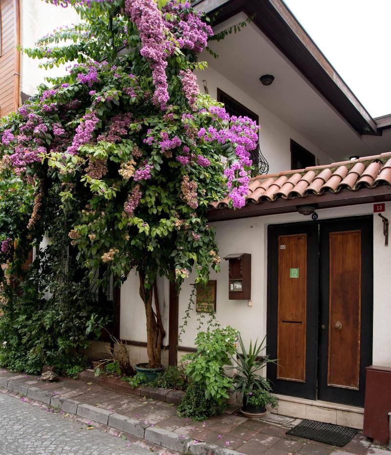 Villa Sphendone image