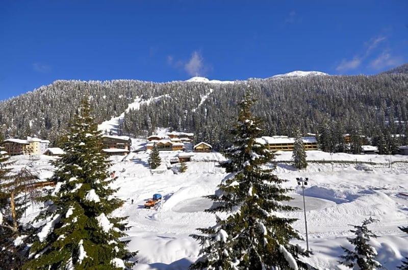 Cristallo image