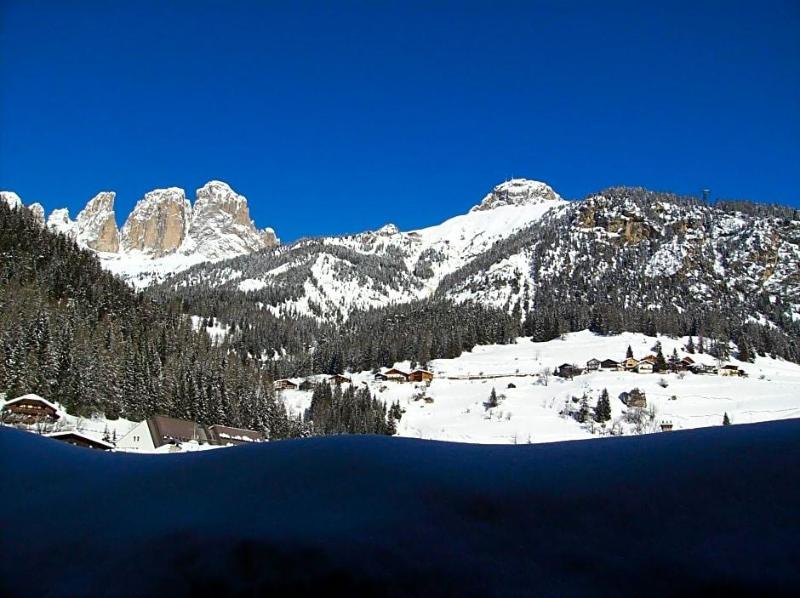 Alpi image