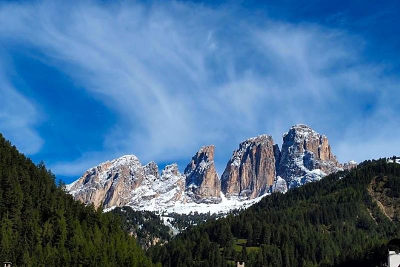 Alpi image