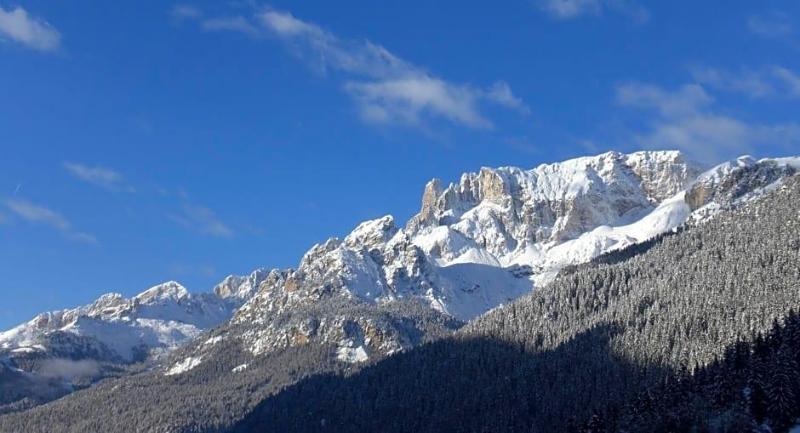 Alpi image