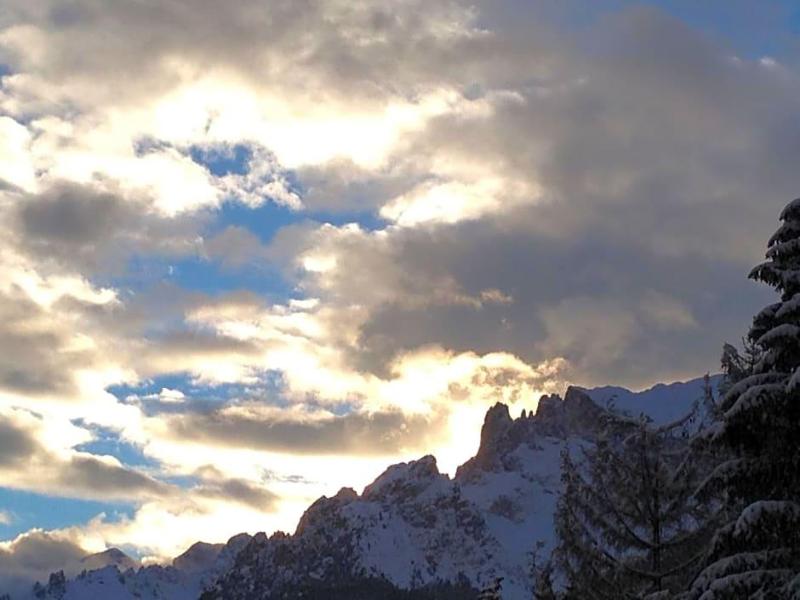 Alpi image