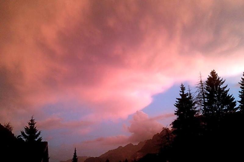 Alpi image