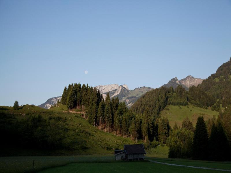 Der Tannenhof image