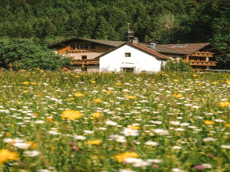 Der Tannenhof image