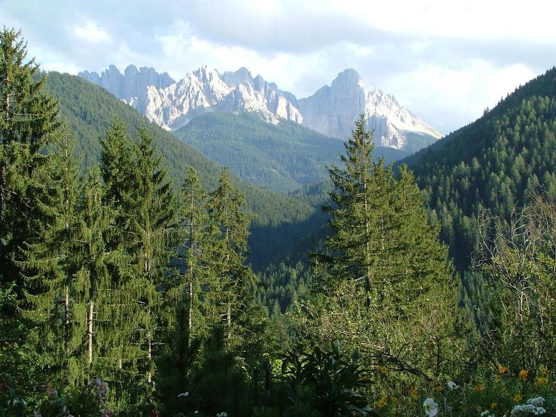 Schönwald image