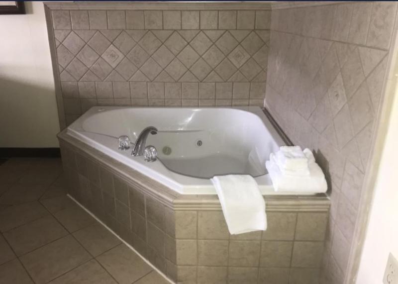 Microtel Inn & Suites By Wyndham Indianapolis Air image