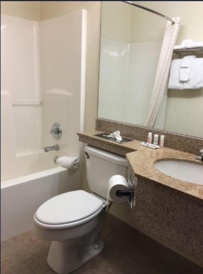 Microtel Inn & Suites By Wyndham Indianapolis Air image